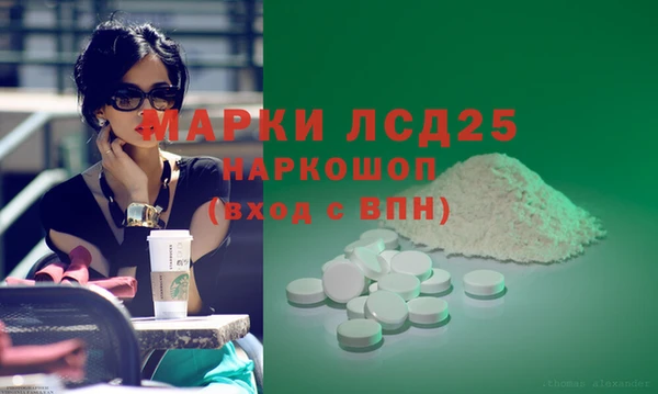 прущие грибы Нея