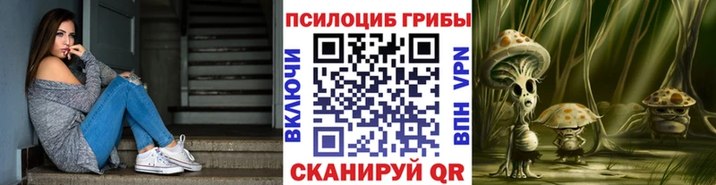 где купить   OMG ONION  Галлюциногенные грибы MAGIC MUSHROOMS  Почеп 